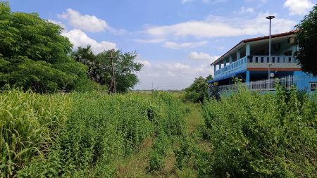 ขาย ที่ดิน ติดถนน ใกล้ศูนย์ขนส่งสินค้า 20 ไร่ 52 ตร.วา วังน้อย พระนครศรีอยุธยา รูปที่ 5