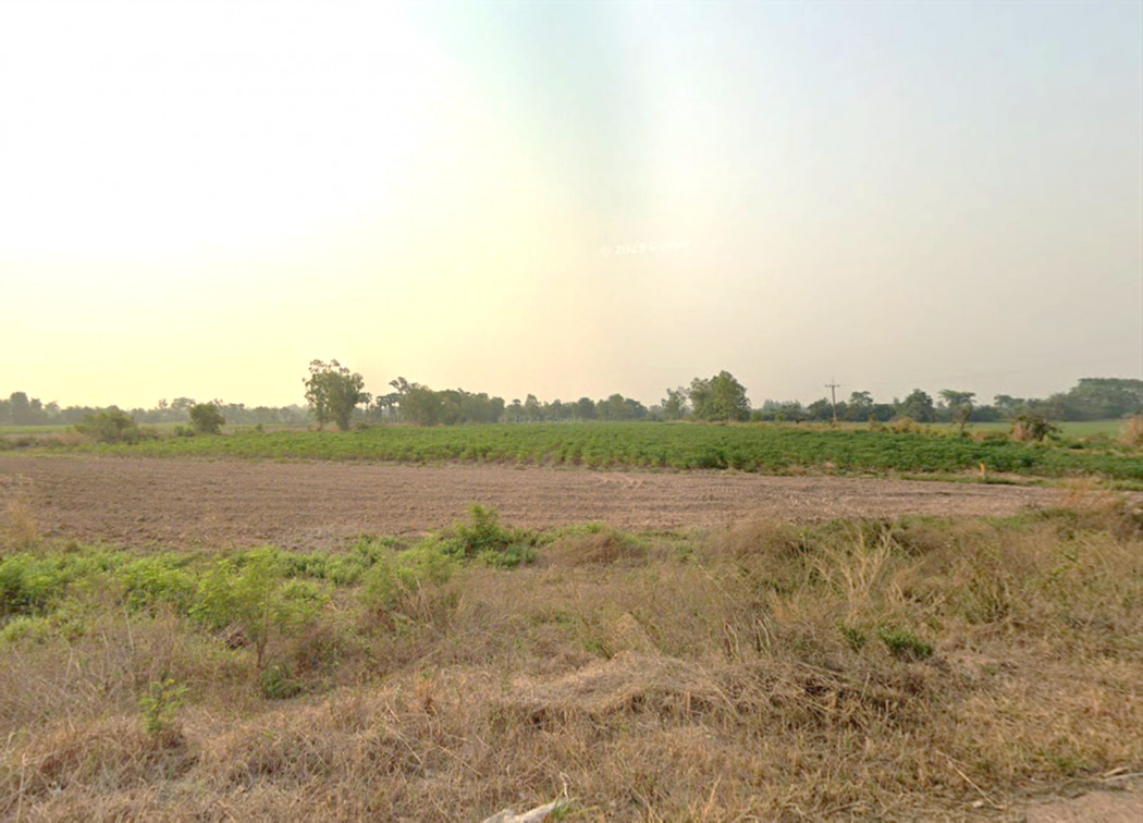 ขาย ที่ดิน บึงขามทะเลสอ อำเภอขามทะเลสอ นครราชสีมา 17 ไร่ 2 งาน 42.2 ตร.วา สามารถทำฟาร์มได้ ทำไร่พืชได้หลายชนิด หรือลงทุนทำสวนอาหารได้ รูปที่ 4