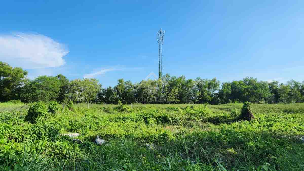 ที่ดินเปล่า ซอย สุพรรณโรจน์ หนองจอก - มีนบุรี        รูปที่ 1