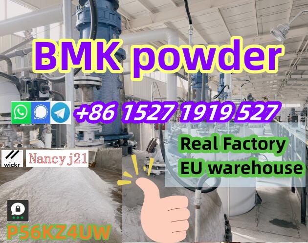 รูปภาพ Bmk powder 5449-12-7 P2p APAAN Germany Warehouse pickup  in 24 hours