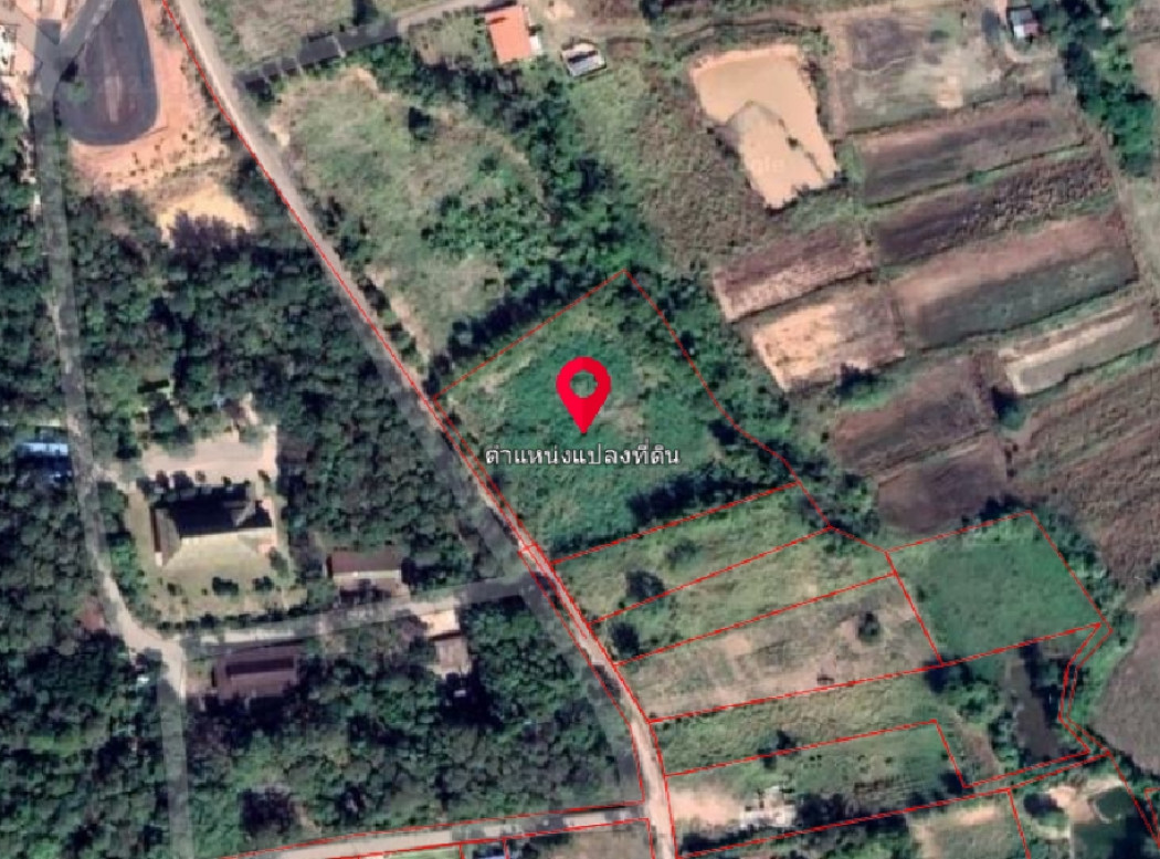 ขาย ที่ดิน ทางขึ้นภูเรือสายเก่า 3 ไร่ 3 งาน 42.1 ตร.วา รูปที่ 2