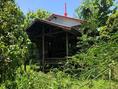 ขายบ้านไม้ใต้ถุนสูง  อำเภอสวรรคโลก  สุโขทัย (PKK02-11439)