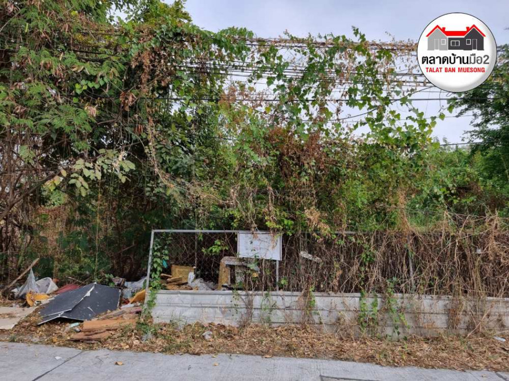 ขาย ที่ดิน ต้องการขายด่วนที่ดินเปล่าใกล้ถนนสุขุมวิท117 2 ไร่ 58 ตร.วา . รูปที่ 8