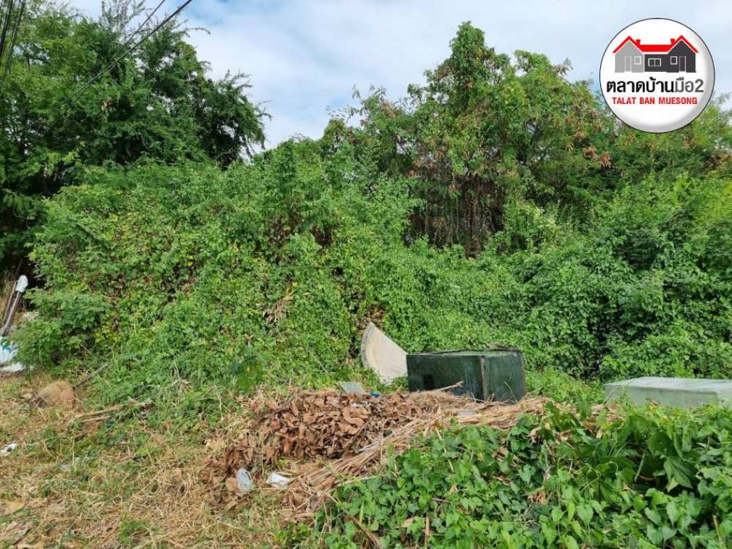 ขาย ที่ดิน ต้องการขายด่วนที่ดินเปล่าใกล้ถนนสุขุมวิท117 2 ไร่ 58 ตร.วา . รูปที่ 11