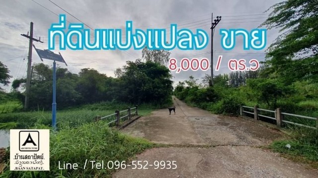 ที่ดินแบ่งขาย 229 ตรว ในหมู่บ้านจัดสรร ใกล้แกรนด์จามจุรีรีสอร์ท ต.เหมืองง่า อ.เมือง จ.ลำพูน รูปที่ 1