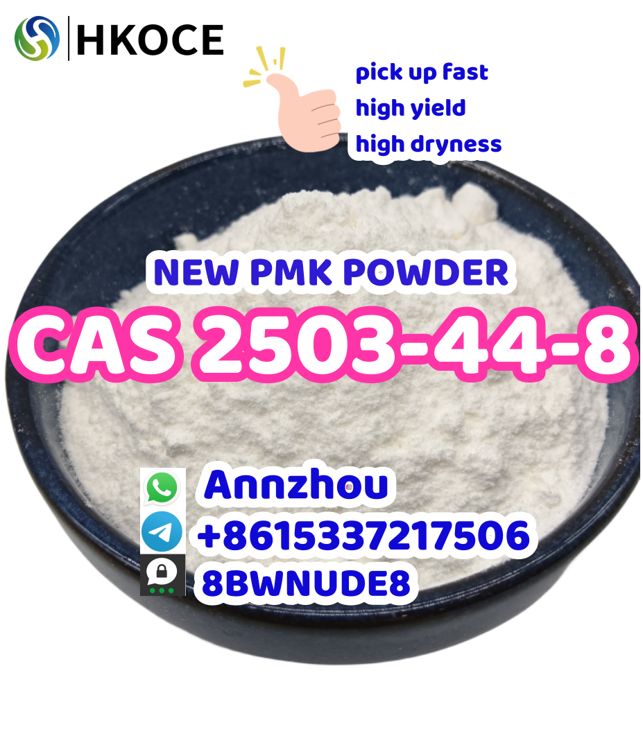 Wholesale New PMK Pmk Powder Cas 2503-44-8  รูปที่ 1