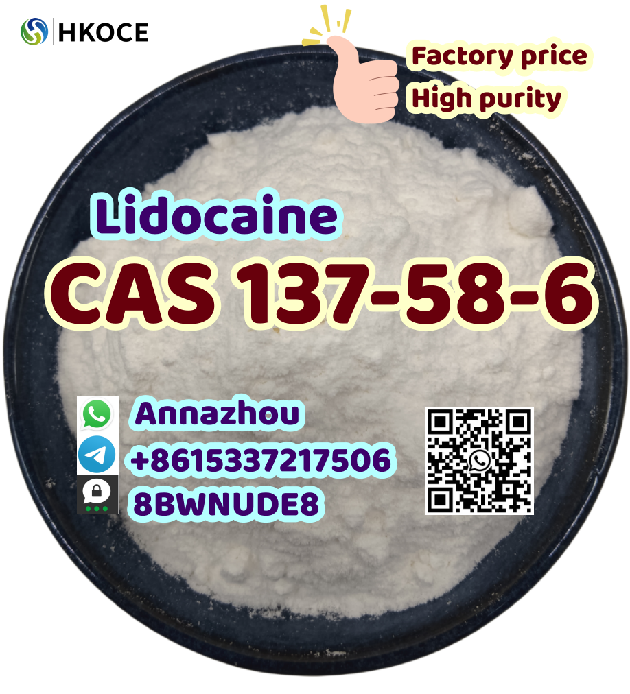 Organic Intermediate 99% Purity CAS 137-58-6 Lidocaine powder whatsapp:+8615337217506 รูปที่ 1