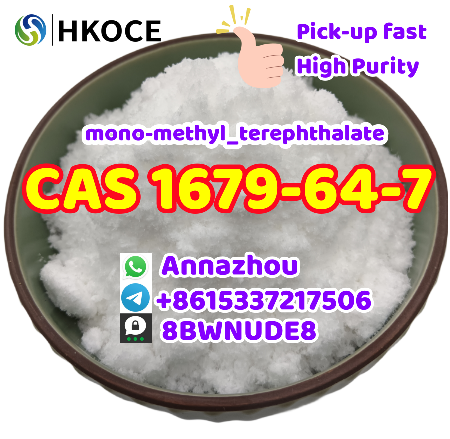 China Factory cas 1679-64-7 Mono-methyl terephthalate MMT(podwer) Raw Powder รูปที่ 1