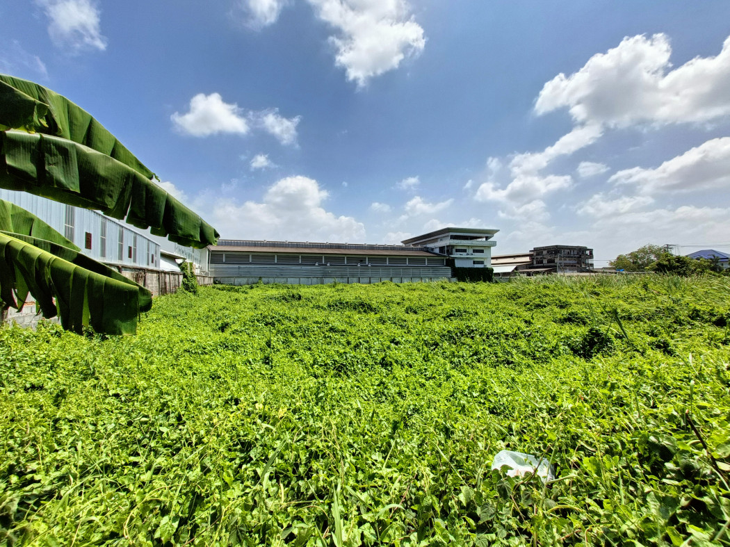 ขาย ที่ดิน แปลงสวย ทำเลดี ที่ดิน บางบอน 5 ไร่ 14 ตร.วา เหมาะทำธุรกิจ หรือ เก็งกำไร ในเขตเศรษฐกิจ รูปที่ 2