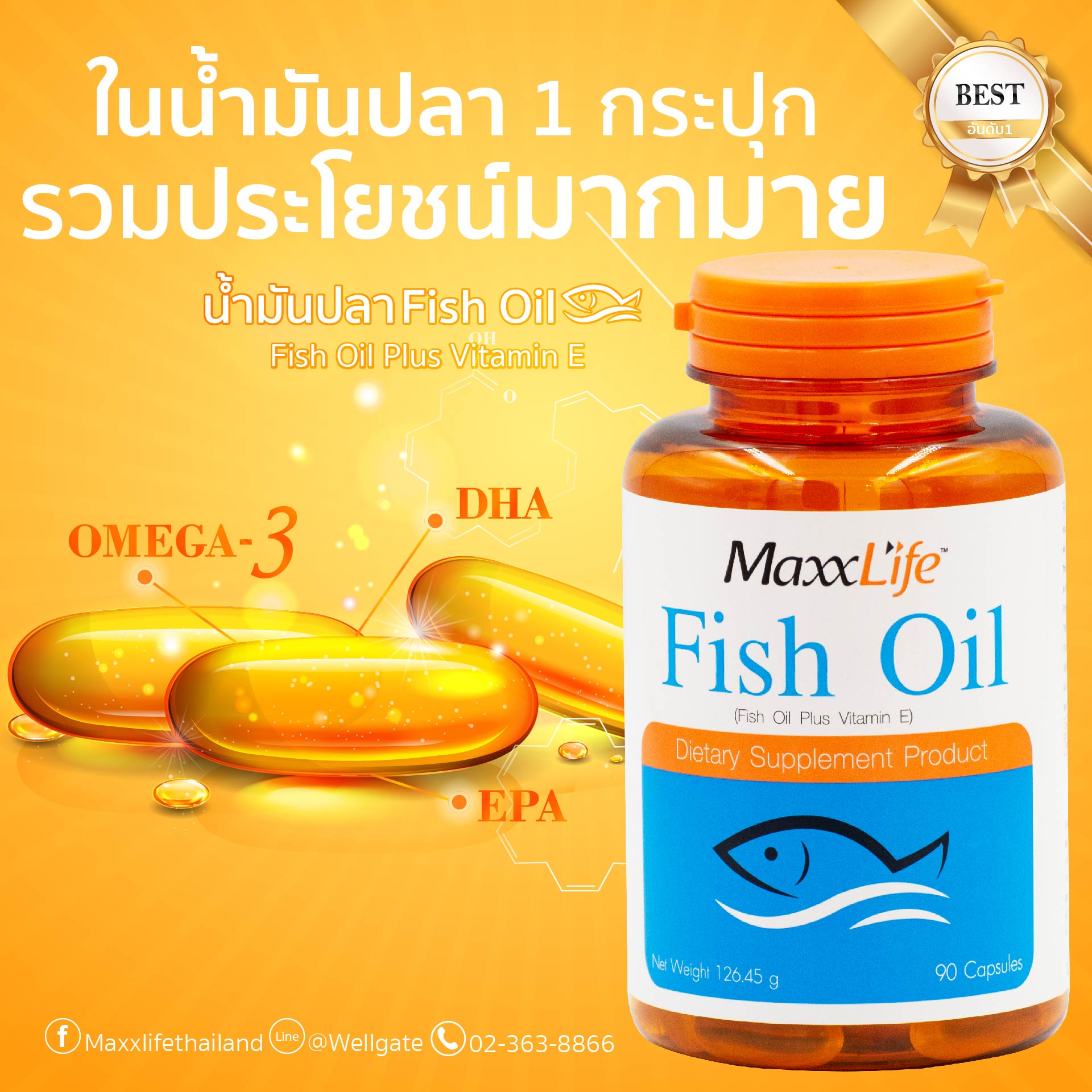 รูปย่อ Fish oil น้ำมันปลาที่มาจากไอซ์แลนด์ บำรุงสายตาและสมอง รูปที่3