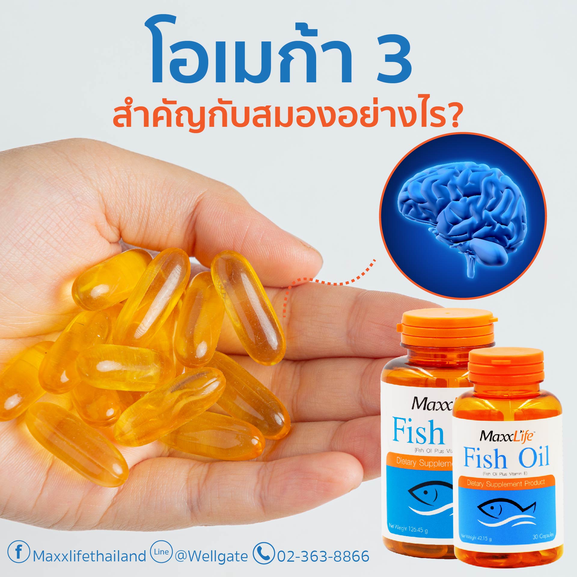 รูปย่อ Fish oil น้ำมันปลาที่มาจากไอซ์แลนด์ บำรุงสายตาและสมอง รูปที่5