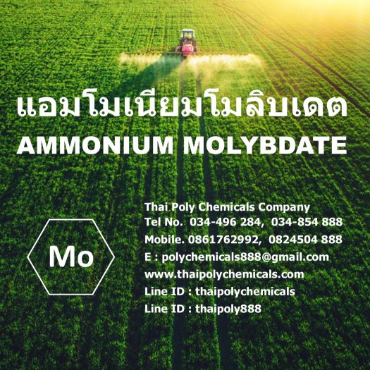 Ammonium Molybdate, Molybdenum, Micronutrients, แอมโมเนียมโมลิบเดต, แอมโมเนียมโมลิบเดท, ผงจุลธาตุโมลิบดินัม รูปที่ 1