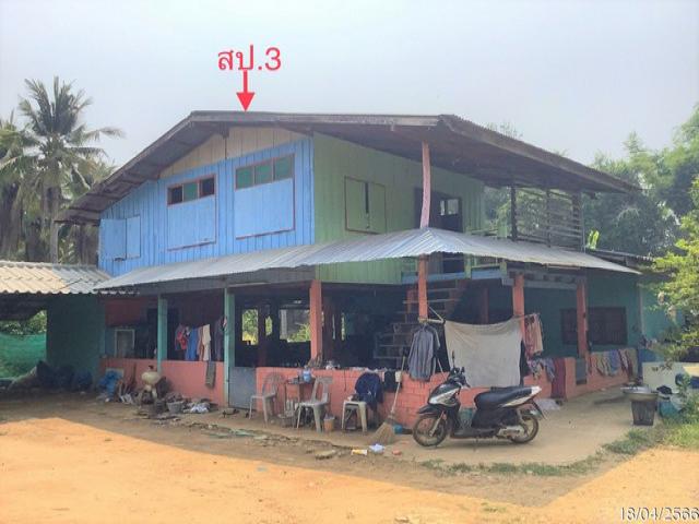 ขายบ้านไม้ใต้ถุนสูง   อำเภอสรรคบุรี  ชัยนาท (PKK02-11575) รูปที่ 1