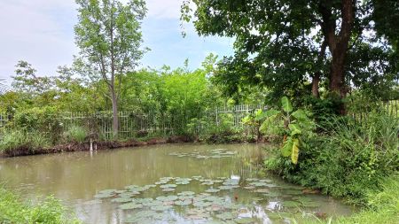 ขาย บ้านเดี่ยว พร้อมร้านอาหาร 1 ไร่ ใกล้ ม.เกษตรศาสตร์ สกลนคร รูปที่ 10