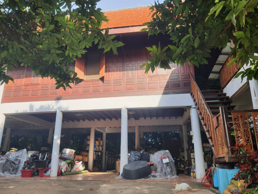 ขายบ้านทรงไทยพร้อมที่ดิน 144 ตรว. 3ห้องนอน 2ห้องน้ำ พร้อมต้นไม้แดง ไม้มะค่าโมง ไม้สัก รูปที่ 2