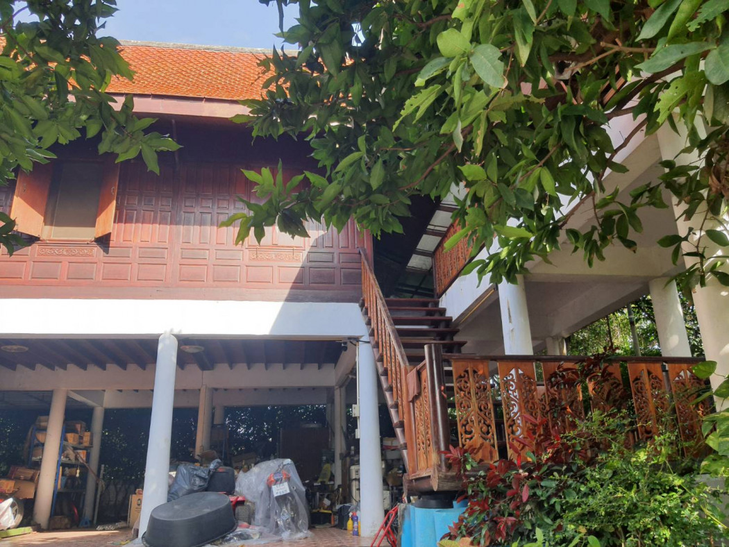 ขายบ้านทรงไทยพร้อมที่ดิน 144 ตรว. 3ห้องนอน 2ห้องน้ำ พร้อมต้นไม้แดง ไม้มะค่าโมง ไม้สัก รูปที่ 3