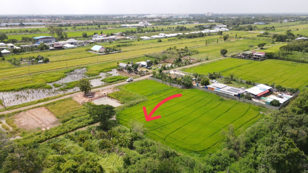 ขายที่ดินบึงน้ำรักษ์ 200 ตรว. ถมแล้ว ใกล้ถ.เส้นรังสิต-นครนายก 305 - 2.6 กม. อ.ธัญบุรี ปทุมธานี รูปที่ 2