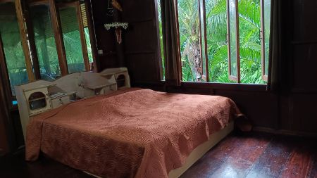 ขาย ที่ดิน บ้านสวนปาล์ม 21 ไร่ 48 ตร.วา ใกล้แม่น้ำแควน้อย ติดถนน บ้านแก่งจอ อ.ไทรโยค กาญจนบุรี รูปที่ 4