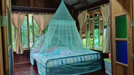 ขาย ที่ดิน บ้านสวนปาล์ม 21 ไร่ 48 ตร.วา ใกล้แม่น้ำแควน้อย ติดถนน บ้านแก่งจอ อ.ไทรโยค กาญจนบุรี รูปที่ 5