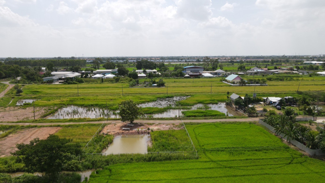 ขายที่ดินบึงน้ำรักษ์ 200 ตรว. ถมแล้ว ใกล้ถ.เส้นรังสิต-นครนายก 305 - 2.6 กม. อ.ธัญบุรี ปทุมธานี รูปที่ 4