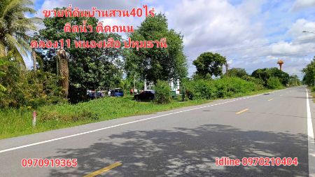 ขาย ที่ดิน บ้านสวน ติดน้ำ ติดถนน 40 ไร่ คลอง11 หนองเสือ ปทุมธานี รูปที่ 2