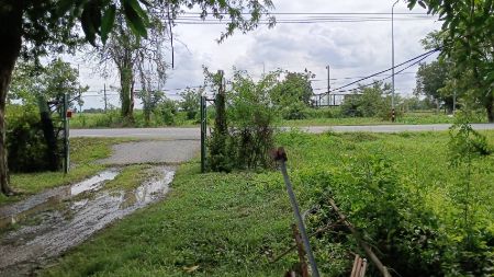ขาย ที่ดิน บ้านสวน ติดน้ำ ติดถนน 40 ไร่ คลอง11 หนองเสือ ปทุมธานี รูปที่ 3