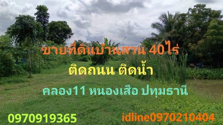 ขาย ที่ดิน บ้านสวน ติดน้ำ ติดถนน 40 ไร่ คลอง11 หนองเสือ ปทุมธานี รูปที่ 1