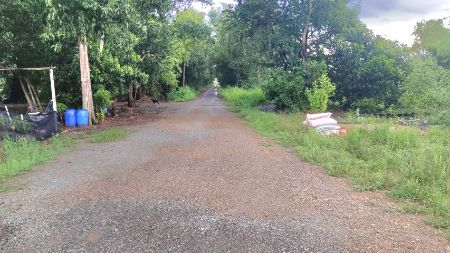 ขาย ที่ดิน ติดน้ำ ติดถนน2ด้าน 7 ไร่ 29 ตร.วา คลอง11 หนองเสือ ปทุมธานี รูปที่ 5
