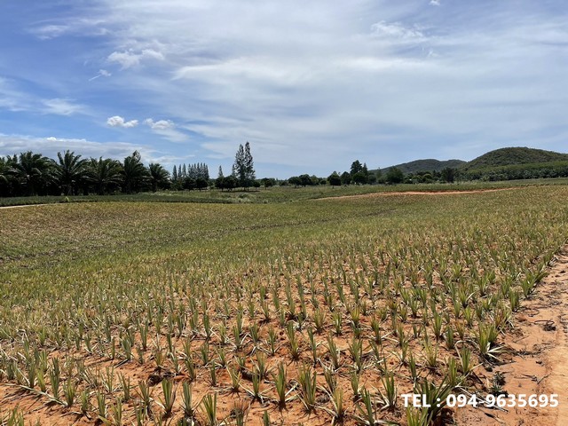 ขายที่ดิน แปลงสวย พื้นที่สีเขียว ติดภูเขา ตำบลบ่อนอก อำเภอเมืองประจวบคีรีขันธ์ ประจวบคีรีขันธ์  รูปที่ 1