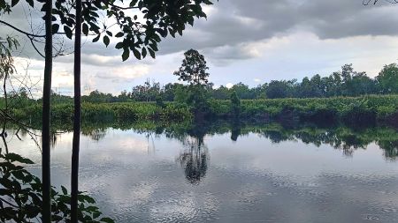 ขาย ที่ดิน ติดน้ำ ติดถนน2ด้าน 7 ไร่ 29 ตร.วา คลอง11 หนองเสือ ปทุมธานี รูปที่ 6