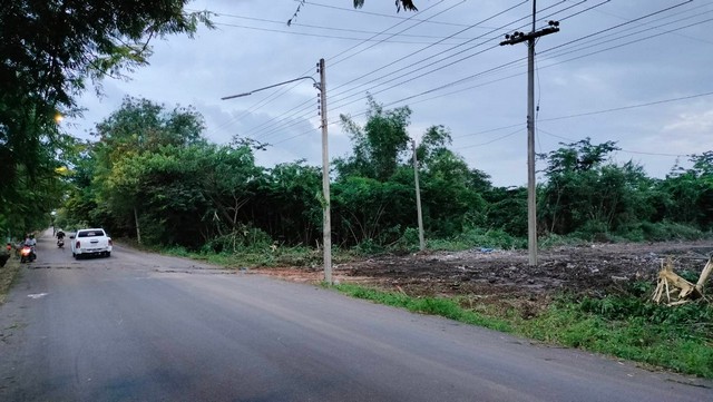 ที่ดินใกล้จุดเช็คอินคลอง11 หนองเสือ ปทุมธานี 2ไร่ฟรี 5 ตรว. รูปที่ 1