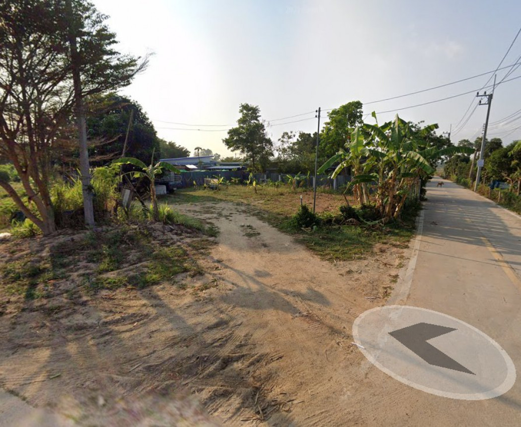 ขายที่ดินห้วยใหญ่ บางละมุง 205 ตรว. พัทยา ถมแล้วติดถ.คอนกรีตเทศบาล1ซอย24 ใกล้หาดจอมเทียน 6 กม จ.ชลบุรี รูปที่ 5