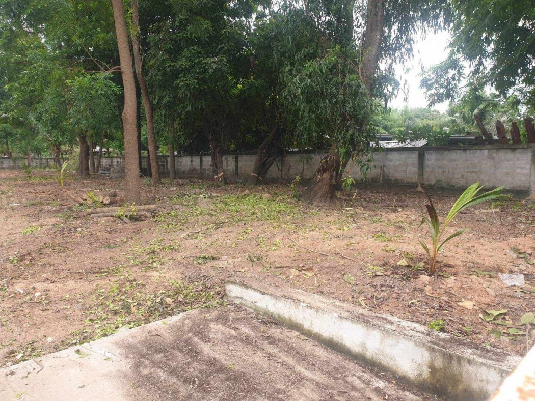 ขายที่ดินห้วยใหญ่ พัทยา 292 ตรว. ถมแล้วล้อมรั้วเหมาะปลูกบ้าน ทำพูลวิลล่าปากซอยมีซีเจ ใกล้หาดจอมเทียน 6 กม. บางละมุง ชลบุรี รูปที่ 2