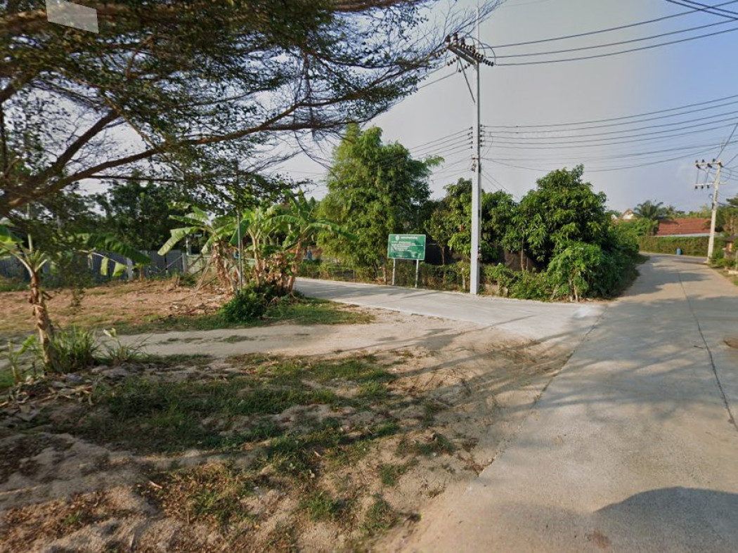 ขายที่ดินห้วยใหญ่ บางละมุง 205 ตรว. พัทยา ถมแล้วติดถ.คอนกรีตเทศบาล1ซอย24 ใกล้หาดจอมเทียน 6 กม จ.ชลบุรี รูปที่ 6