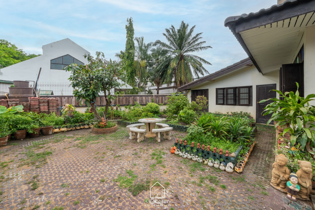 ขาย บ้านเดี่ยว ในตัวเมืองเชียงใหม่ เนื้อที่ใหญ่สุด บ้านมงฟอร์ตวิลล่า 250 ตรม. 179 ตร.วา ใกล้มงฟอร์ตมัธยม รูปที่ 3