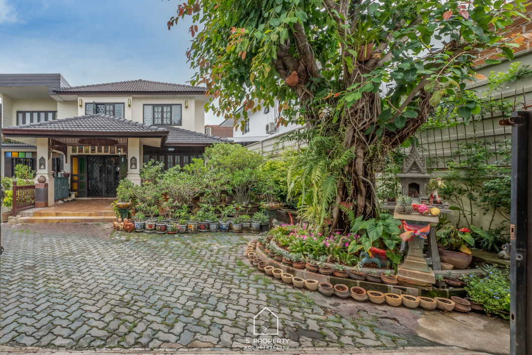 ขาย บ้านเดี่ยว ในตัวเมืองเชียงใหม่ เนื้อที่ใหญ่สุด บ้านมงฟอร์ตวิลล่า 250 ตรม. 179 ตร.วา ใกล้มงฟอร์ตมัธยม รูปที่ 2
