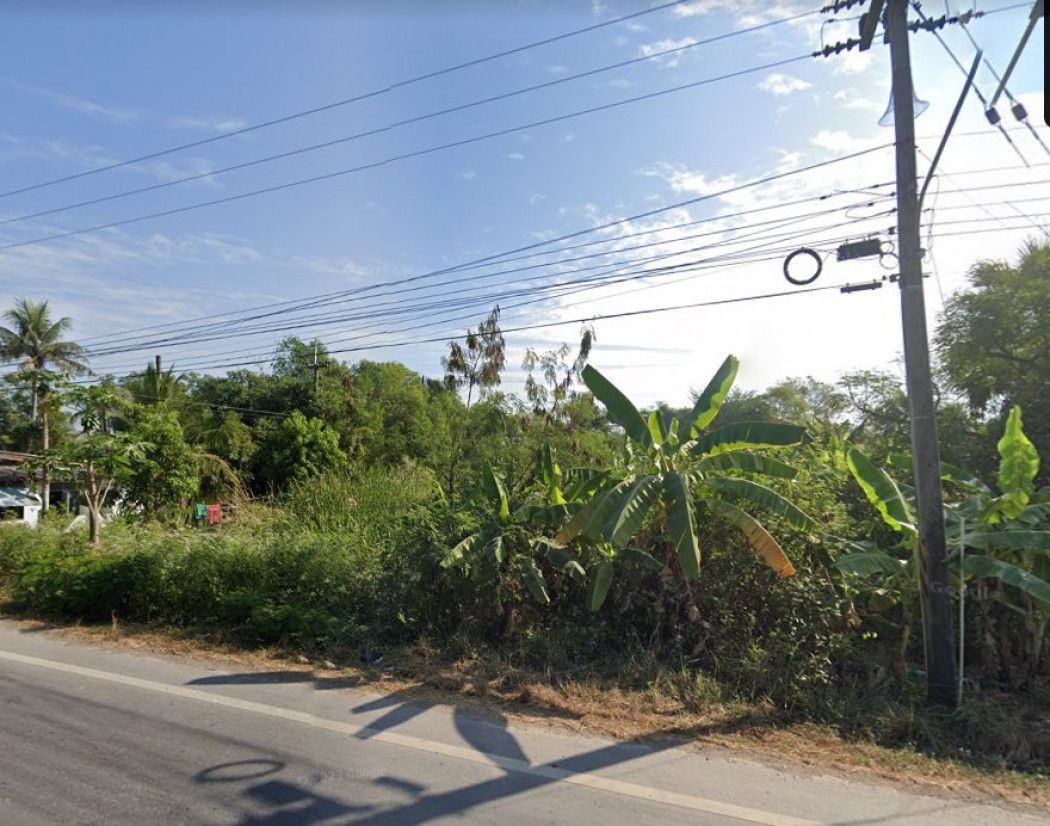 ขายที่ดินลำลูกกา 4 ไร่ คลอง 14 ติดถนนเส้นปท. 3011 ติดคลอง ใกล้ถนนเส้นรังสิต-นครนายก 305 - 8 กม. จ.ปทุมธานี รูปที่ 2