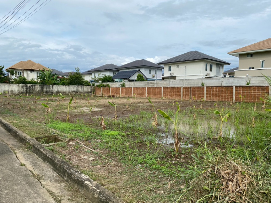 ขาย ที่ดิน ถนนราชพฤกษ-ทางหลวง345 ปทุมธานี ID-12821 รูปที่ 1