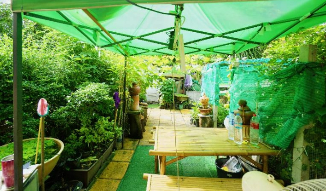 ขาย บ้านเดี่ยว นวลจันทร์ 56 ขนาด 130 ตรม. 60 ตร.วา 4นอน 2น้ำ ทำเลหายาก ใกล้เลียบด่วนเอกมัยรามอินทรา รูปที่ 3