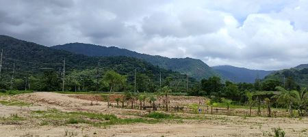 ขาย ที่ดิน  43 ไร่ วิวเขา ติดน้ำ ติดถนนเพชรเกษม เมืองระนอง รูปที่ 2