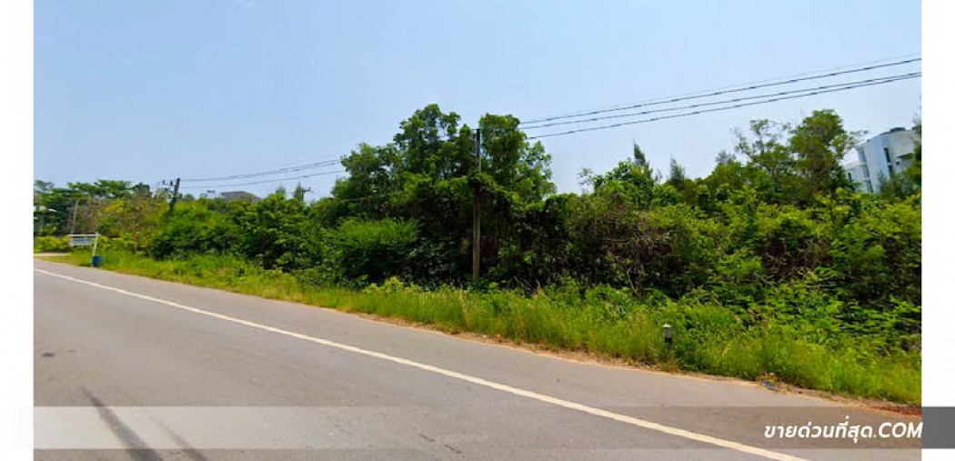 ขาย ที่ดิน ขายที่ดินติดหาดแม่พิมพ์ อ.แกลง จ.ระยอง เนื้อที่ 9 ไร่ 3 งาน 21.8 ตร.ว. 9 ไร่ 3 งาน 21.8 ตร.วา รูปที่ 5