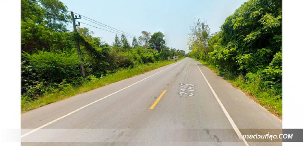 ขาย ที่ดิน ขายที่ดินติดหาดแม่พิมพ์ อ.แกลง จ.ระยอง เนื้อที่ 9 ไร่ 3 งาน 21.8 ตร.ว. 9 ไร่ 3 งาน 21.8 ตร.วา รูปที่ 4