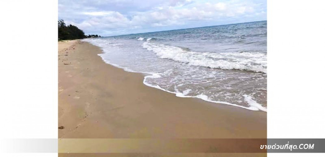 ขาย ที่ดิน ขายที่ดินติดหาดแม่พิมพ์ อ.แกลง จ.ระยอง เนื้อที่ 9 ไร่ 3 งาน 21.8 ตร.ว. 9 ไร่ 3 งาน 21.8 ตร.วา รูปที่ 2