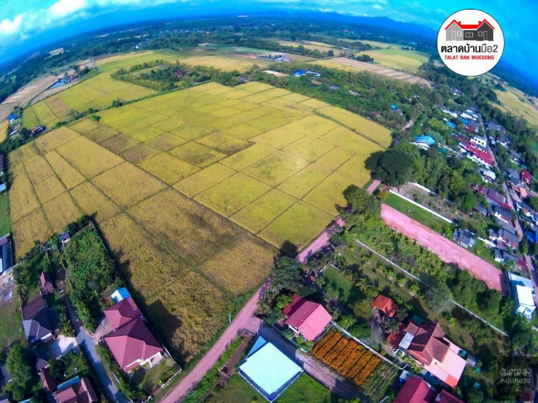 ขาย ที่ดิน ที่ดินเปล่าแปลงสวยน่าจับจอง ต.หย่วน 4 ไร่ รูปที่ 10