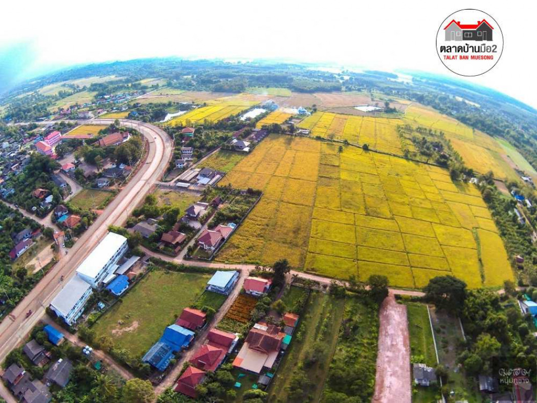 ขาย ที่ดิน ที่ดินเปล่าแปลงสวยน่าจับจอง ต.หย่วน 4 ไร่ รูปที่ 9
