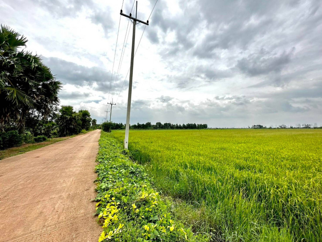 ขายที่ดินหนองยาว 17 ไร่ ติดถนนคอนกรีต ใกล้ถนนเส้น 3002 - 1.7 กม. พนมสารคาม ฉะเชิงเทรา รูปที่ 2