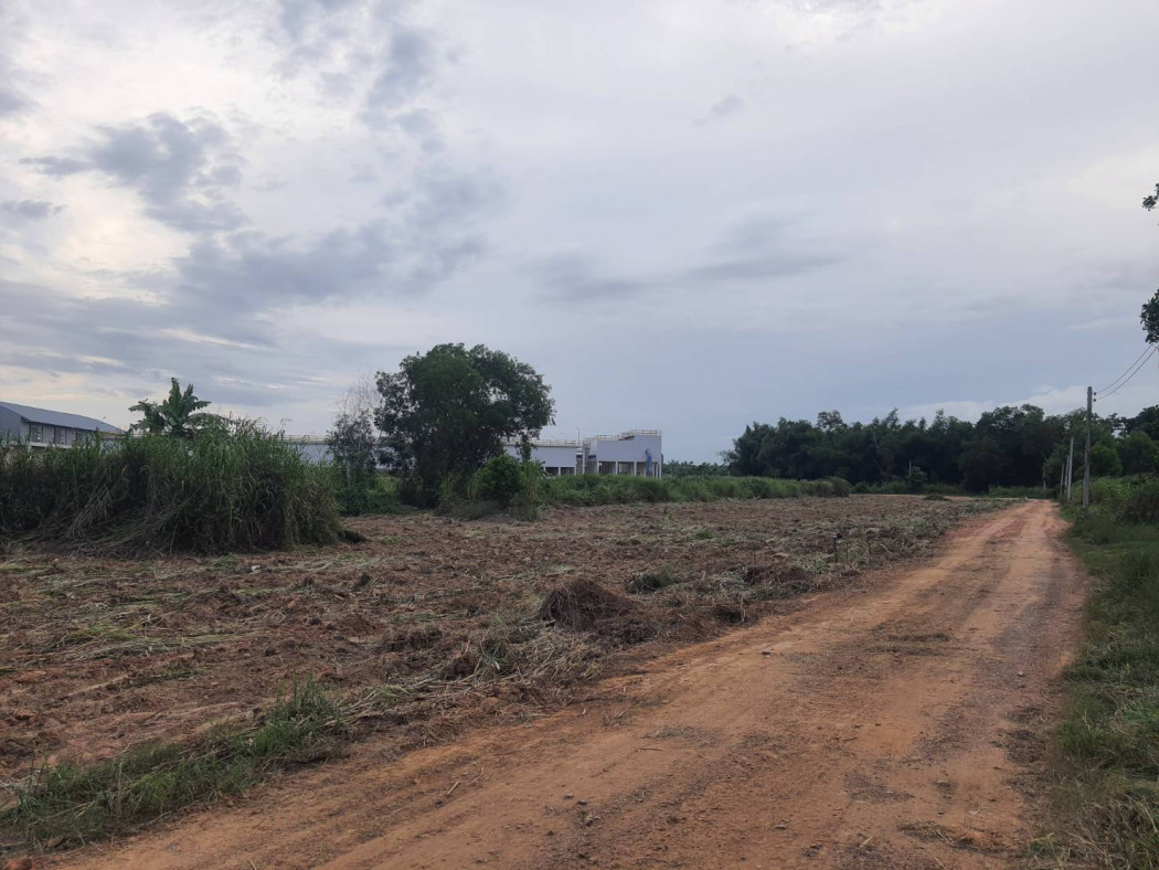 ขายที่สวนผ่อนได้เกาะขนุน เริ่มต้น 200 ตรว. ผ่อนนาน60งวด ใกล้ตลาดสด โรงพยาบาลและถนนใหญ่ อ.พนมสารคาม ฉะเชิงเทรา รูปที่ 11