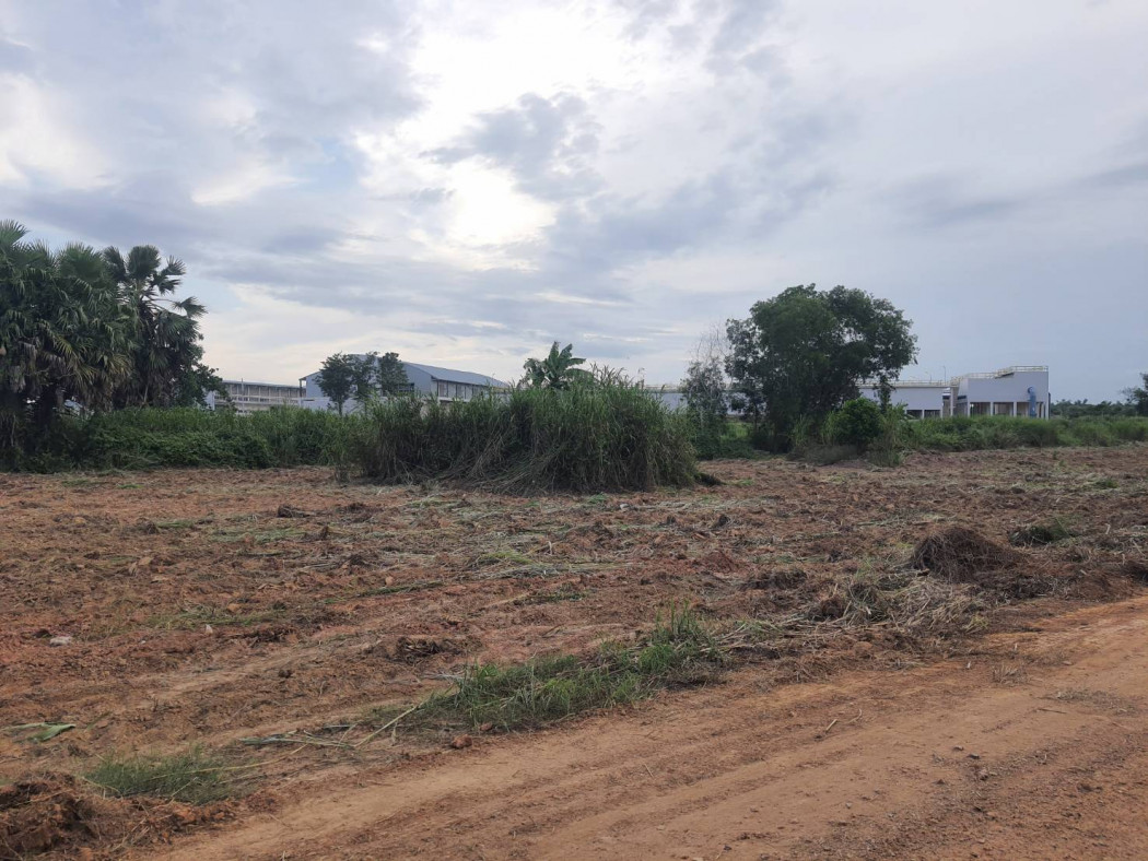 ขายที่สวนผ่อนได้เกาะขนุน เริ่มต้น 200 ตรว. ผ่อนนาน60งวด ใกล้ตลาดสด โรงพยาบาลและถนนใหญ่ อ.พนมสารคาม ฉะเชิงเทรา รูปที่ 10