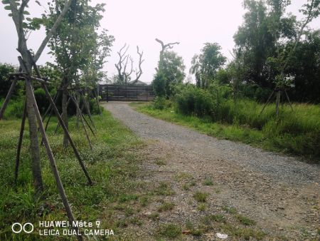 ขาย ที่ดิน สวนเกษตร บรรยากาศดี 1 ไร่ คลอง23 องครักษ์ นครนายก รูปที่ 11