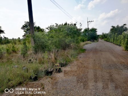 ขาย ที่ดิน สวนเกษตร บรรยากาศดี 1 ไร่ คลอง23 องครักษ์ นครนายก รูปที่ 8
